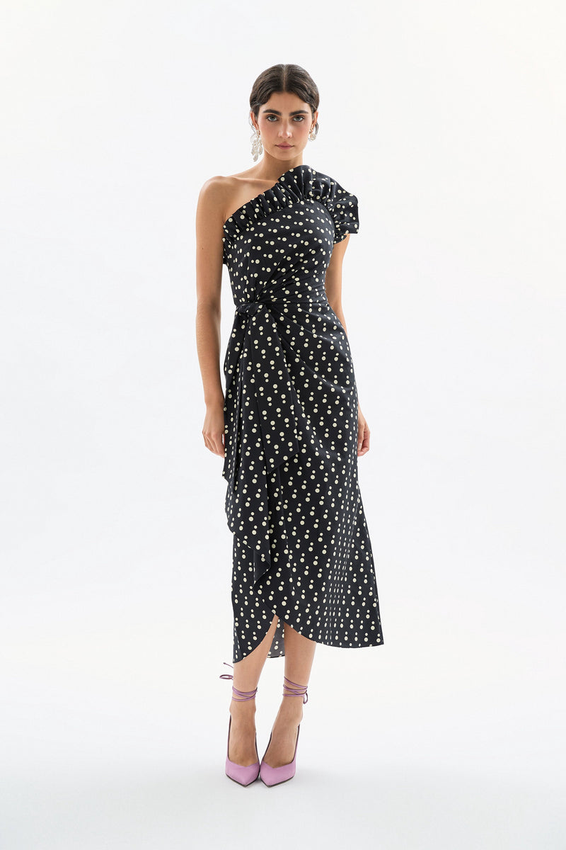 Charlotte Polka Dot Dress