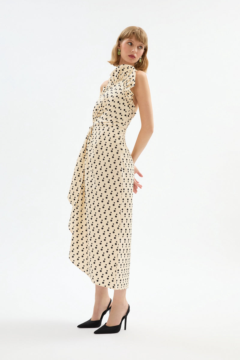 Charlotte Polka Dot Dress