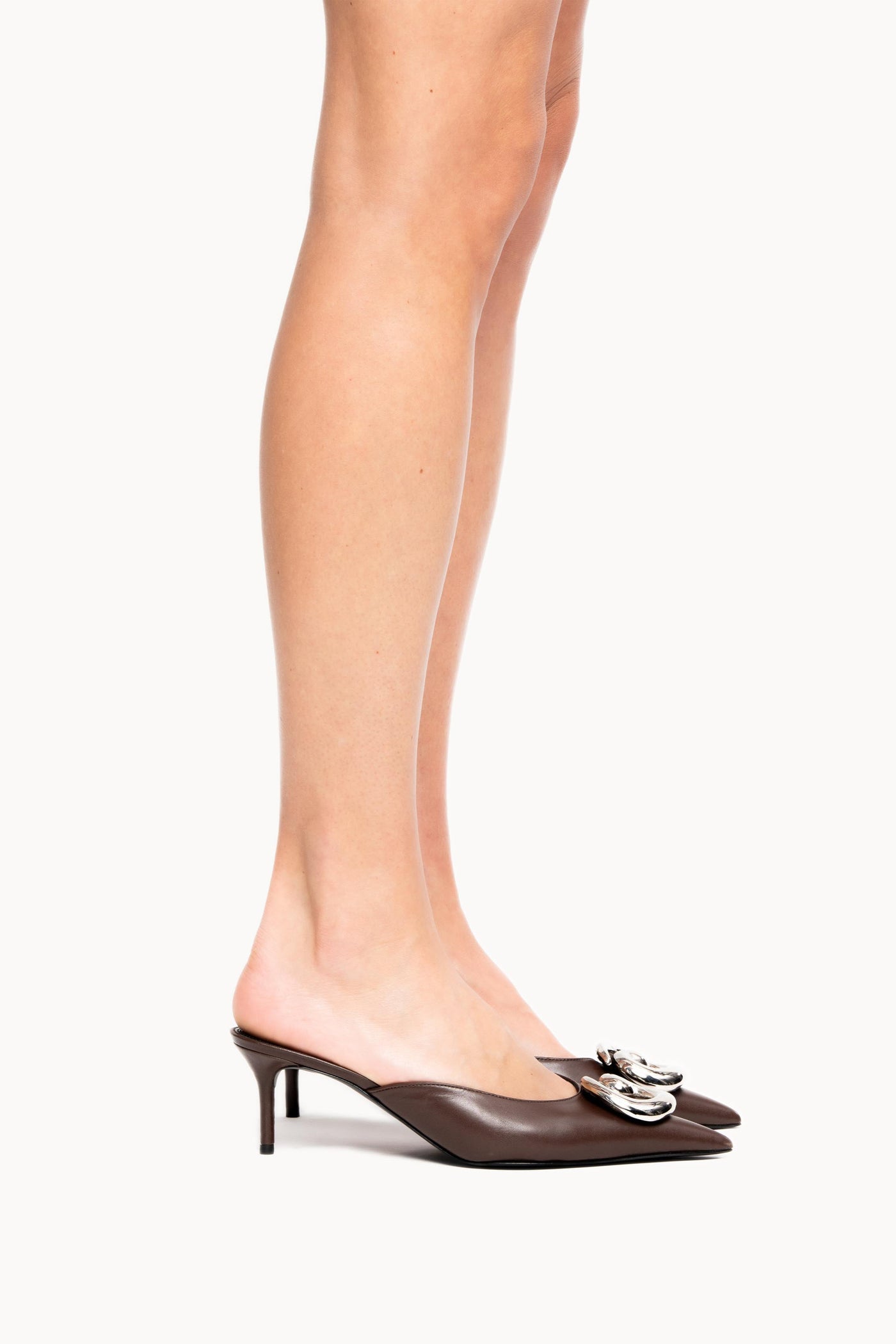 Cosmo Mule
