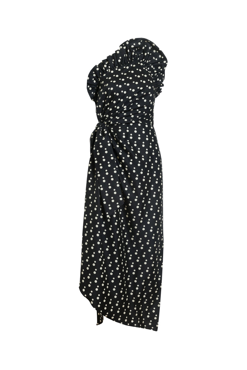 Charlotte Polka Dot Dress