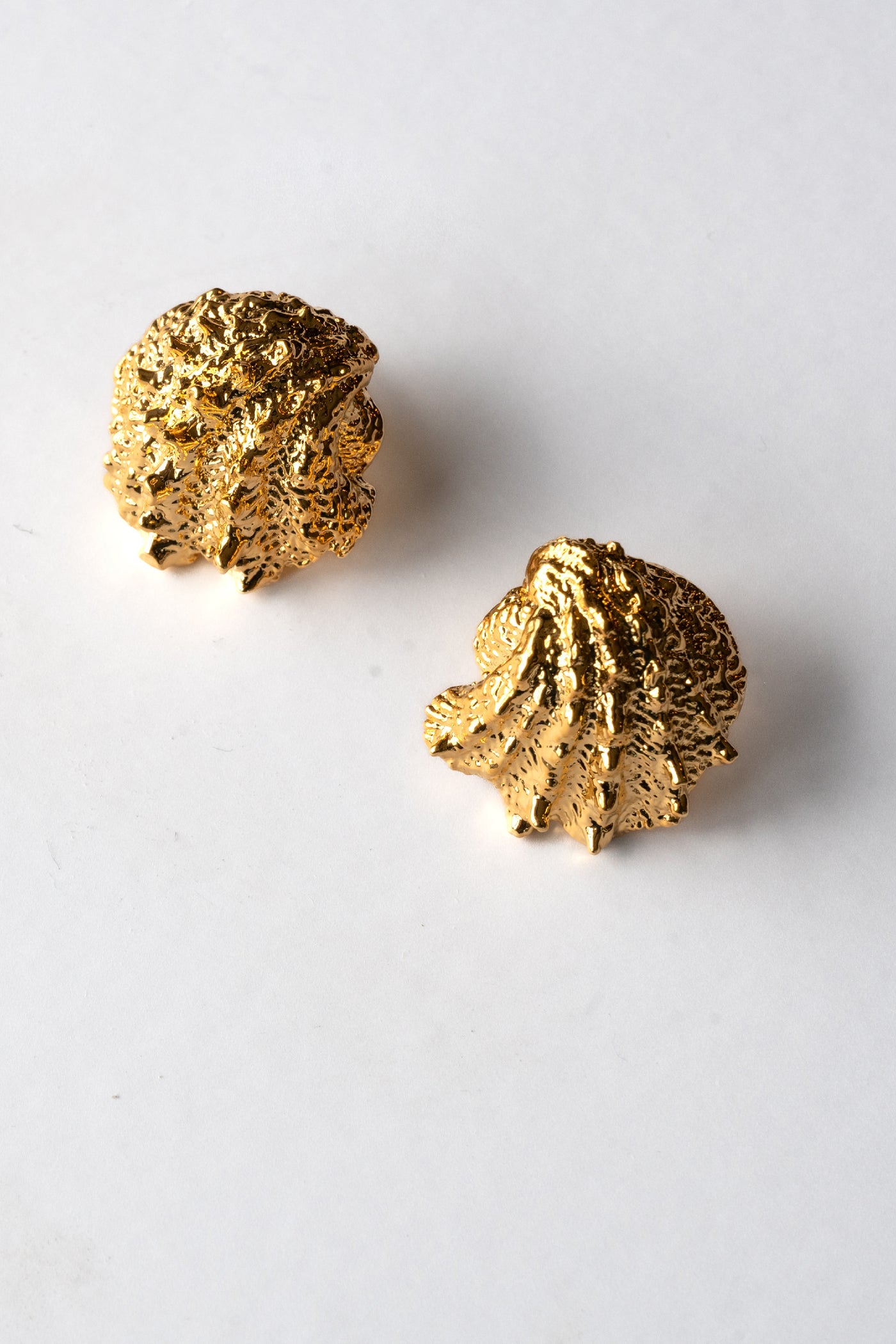 Small Shell Earring